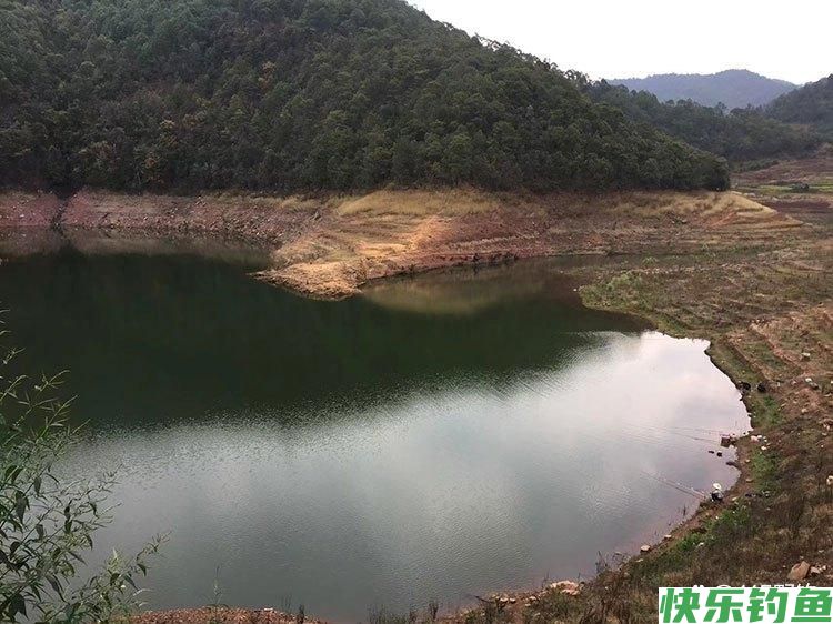 夏季河湖水库野钓鲫鲤草鱼技巧方法,饵料窝料配方,铅坠浮漂选择(图3) 夏季河湖水库野钓鲫鲤草鱼技巧方法,饵料窝料配方,铅坠浮漂选择(图3)