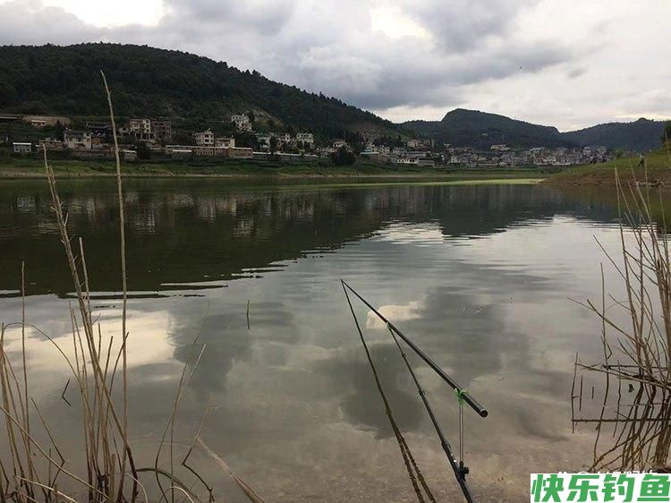 夏季河湖水库野钓鲫鲤草鱼技巧方法,饵料窝料配方,铅坠浮漂选择(图1) 夏季河湖水库野钓鲫鲤草鱼技巧方法,饵料窝料配方,铅坠浮漂选择(图1)