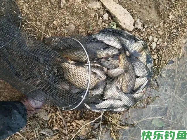 和早春相比，晚春野钓会出现这五种特殊变化，不改变很难爆护(图1)