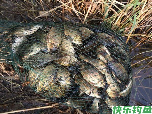 和早春相比，晚春野钓会出现这五种特殊变化，不改变很难爆护(图5)
