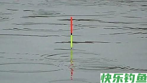 野钓如何选择一支合适的浮漂?明确这三点,加粗目也能调灵敏!(图4) 野钓如何选择一支合适的浮漂?明确这三点,加粗目也能调灵敏!(图4)