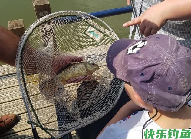 野钓鲫鱼总空军?那是你没找对技巧(图3) 野钓鲫鱼总空军?那是你没找对技巧(图3)