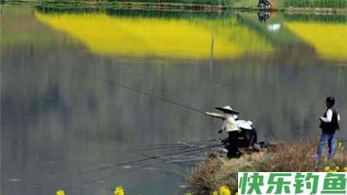 春季野钓的5个思路,搞清楚你就是钓鱼大师,春季钓鲫鱼连杆爆护(图1) 春季野钓的5个思路,搞清楚你就是钓鱼大师,春季钓鲫鱼连杆爆护(图1)
