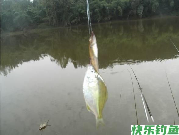 野钓有哪些特点和注意事项？(图2)