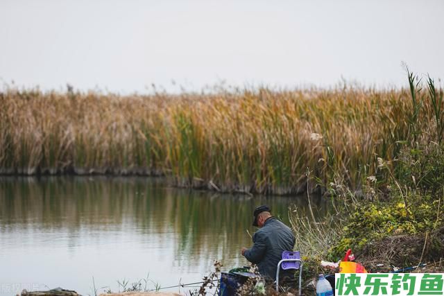 新野钓不一样的玩法,不一样体验,一样的是江湖(图1) 新野钓不一样的玩法,不一样体验,一样的是江湖(图1)