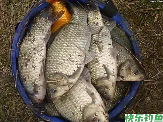 野钓没口别再傻傻的等，掌握这5个小妙招，会有意想不到的收获(图5)