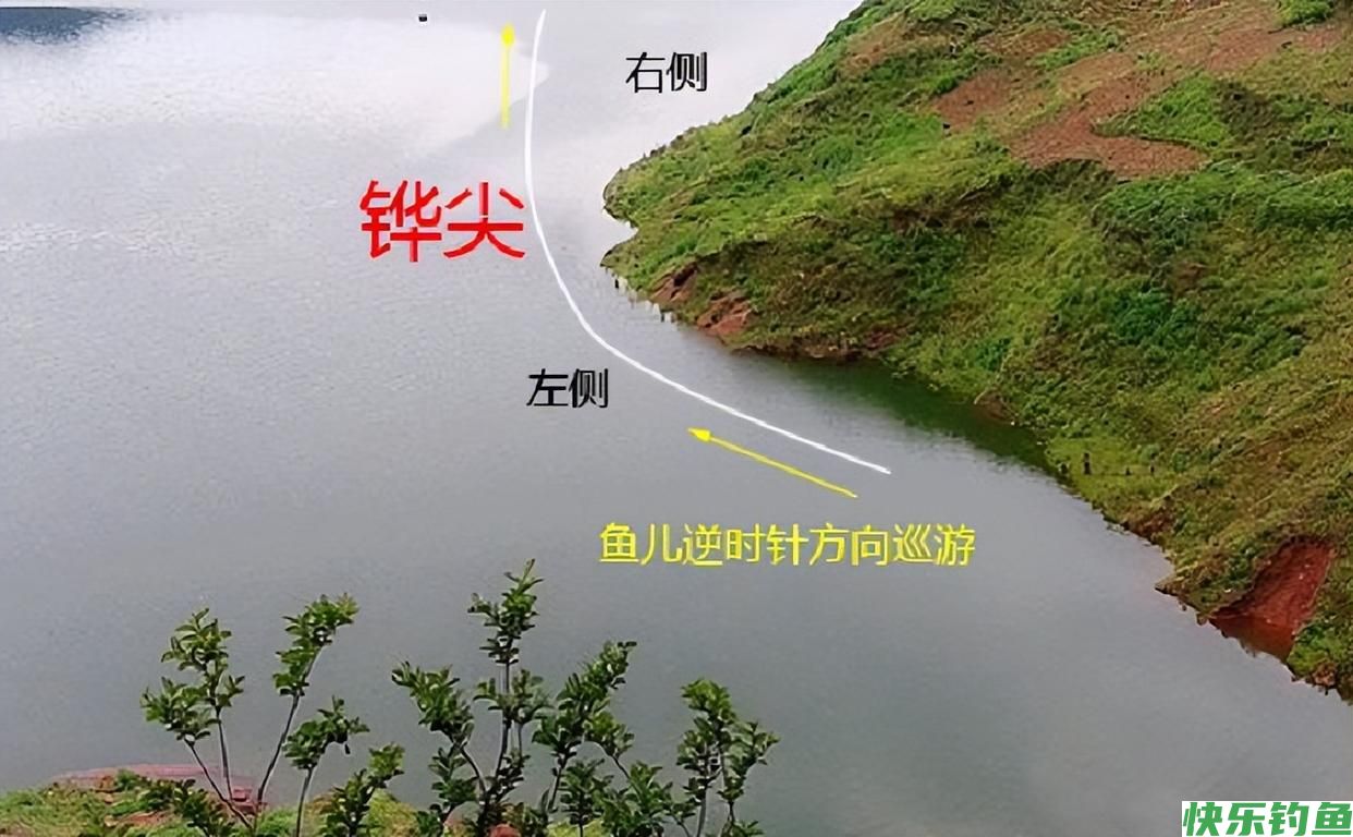 钓鱼找鱼道，不怕没鱼钓，在野钓中怎么精准找到鱼道？(图3)
