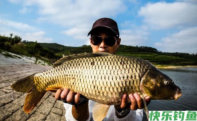 野钓高手钓鱼的5个诀窍,经常满载而归,学会了你也能行(图3) 野钓高手钓鱼的5个诀窍,经常满载而归,学会了你也能行(图3)