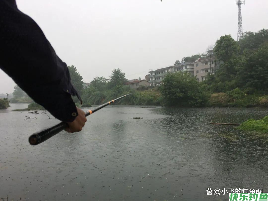 只钓2小时就能顶别人半天的鱼获！野钓务必选对合适的出钓时间(图3)