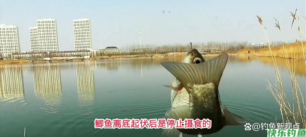 春季如何野钓鲫鱼，老钓鱼人的应对方法值得参考(图1)