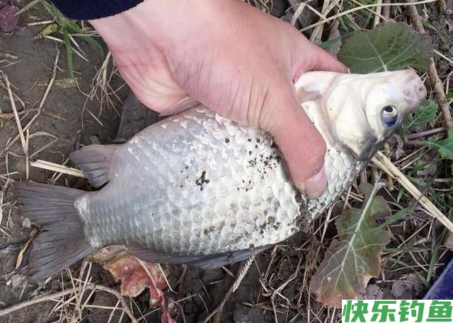 野钓怎么选钓位?这3个位置才是“万能钓位”,个个都是鱼窝(图2) 野钓怎么选钓位?这3个位置才是“万能钓位”,个个都是鱼窝(图2)