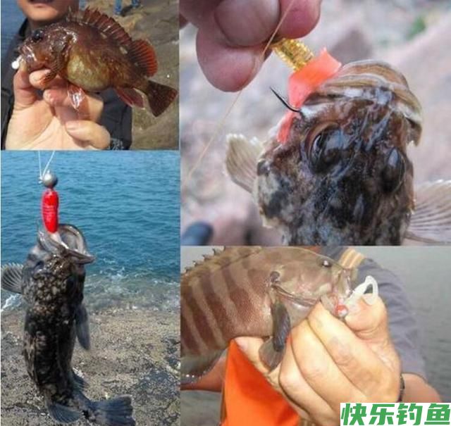 拖曳钓你会吗?野钓客教你!(图2) 拖曳钓你会吗?野钓客教你!(图2)