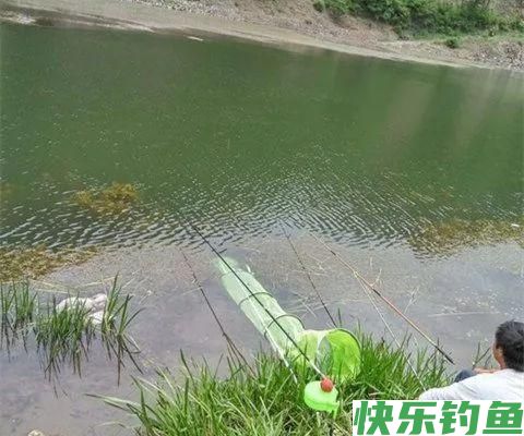 春季野钓，应该选择什么样的时间来作钓呢？(图1)