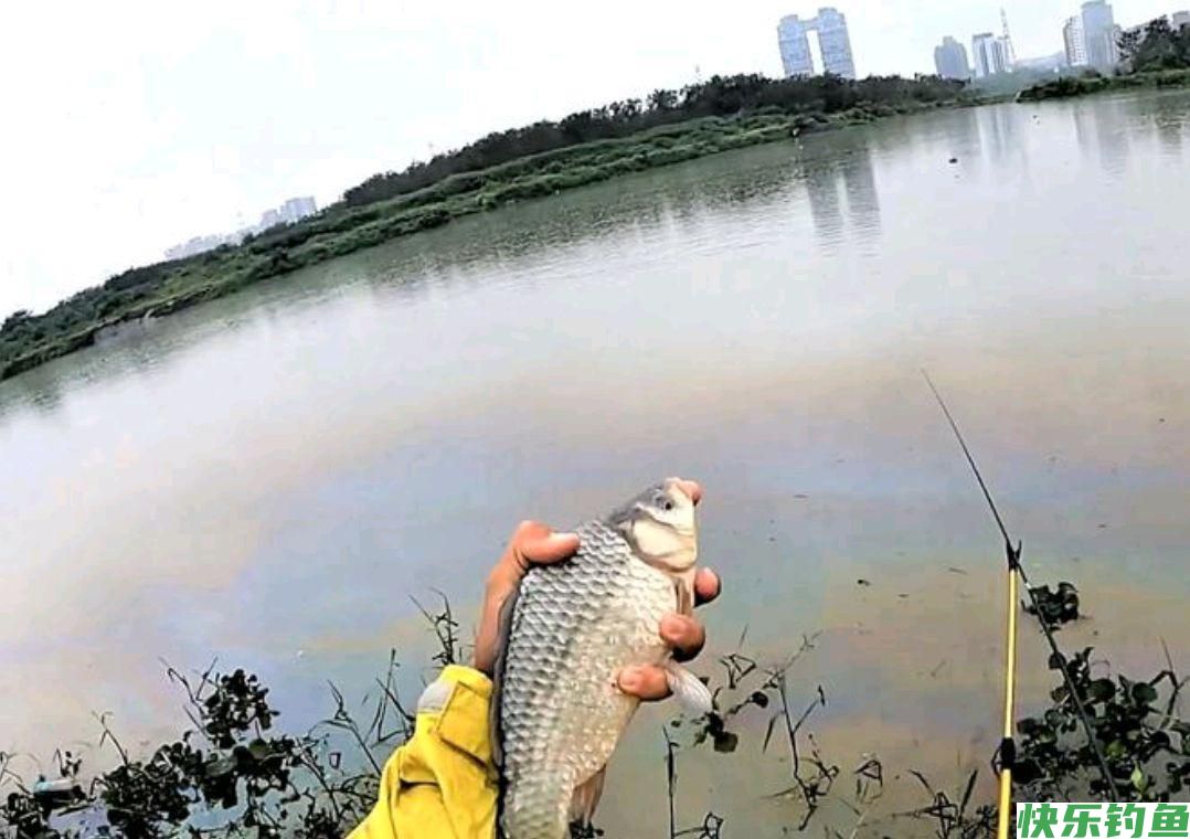 春季野钓，应该选择什么样的时间来作钓呢？(图3)