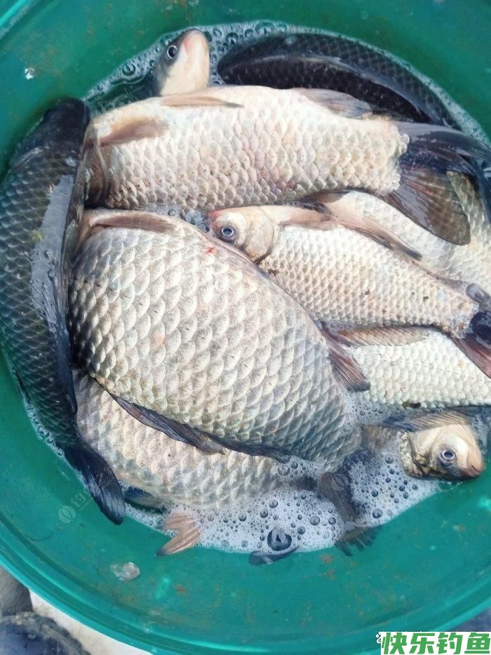 夏季野钓,为什么很多钓友都钓不到鱼?(图1) 夏季野钓,为什么很多钓友都钓不到鱼?(图1)