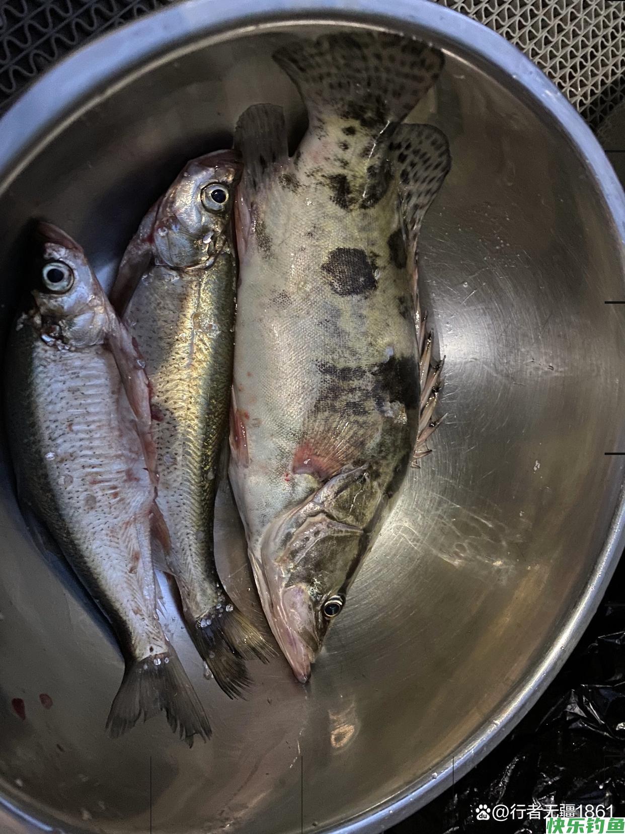 夏季野钓,为什么很多钓友都钓不到鱼?(图4) 夏季野钓,为什么很多钓友都钓不到鱼?(图4)