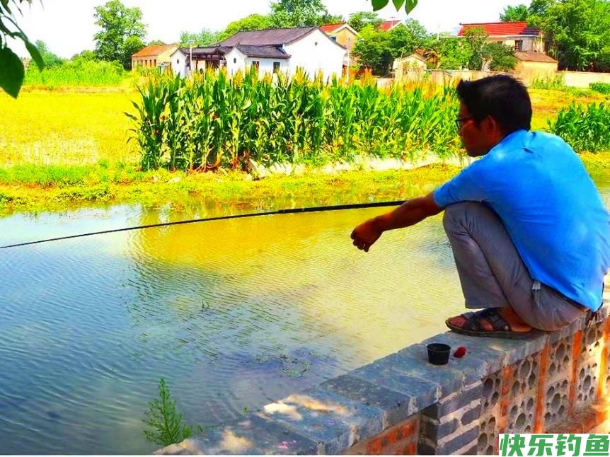 田边野钓｜暑期乡下的垂钓生活(图1)