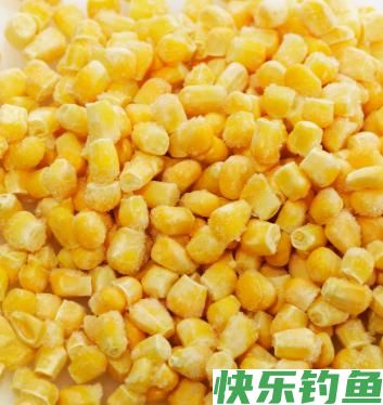 野钓经验之谈 野钓鲤鱼需注意 如何诱鱼是关键(图3)