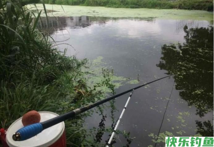 夏季野钓“细节”更重要，这几处细节没做对，有鱼你也钓不到！(图3)