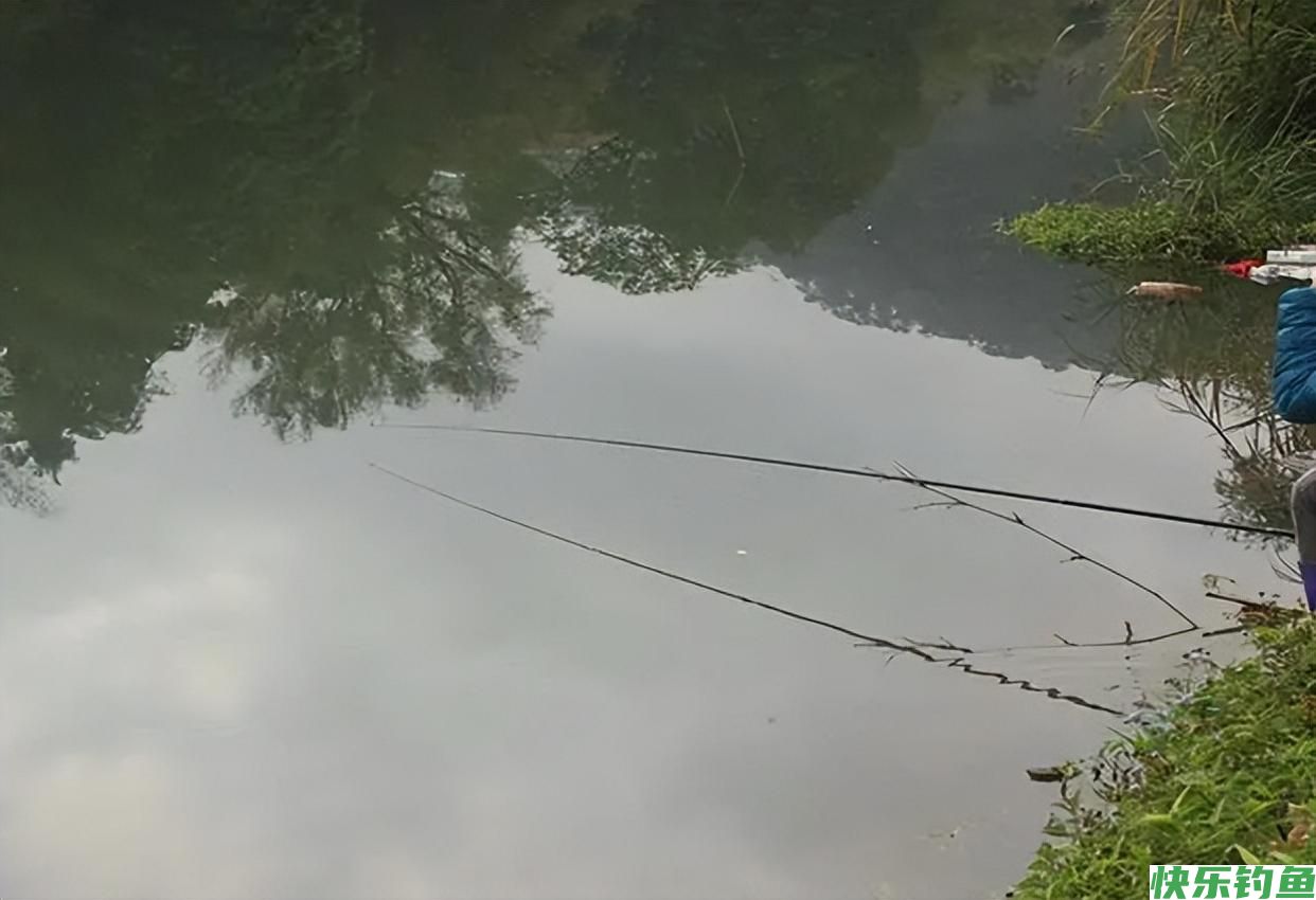 夏季野钓鲫鱼全攻略，打开3扇“黄金大门”，鲫鱼一条接一条(图3)