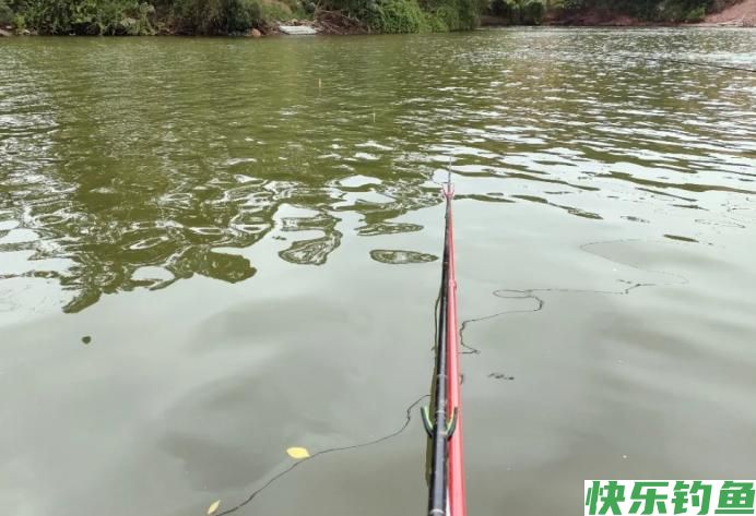 夏季野钓有规律,牢记5条“铁律”,可轻松连竿,爆护不再难(图2) 夏季野钓有规律,牢记5条“铁律”,可轻松连竿,爆护不再难(图2)