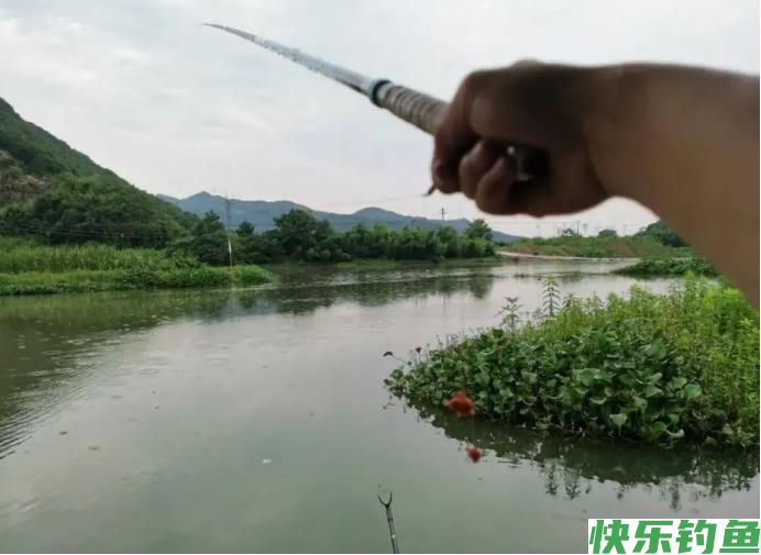 夏季野钓有规律,牢记5条“铁律”,可轻松连竿,爆护不再难(图8) 夏季野钓有规律,牢记5条“铁律”,可轻松连竿,爆护不再难(图8)