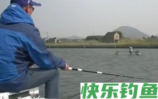 分析影响鲶鱼觅食的一些因素