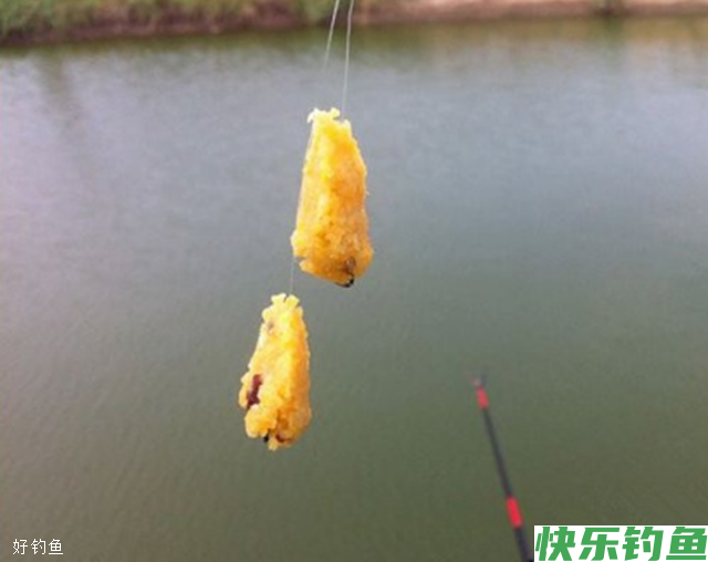 夏钓之鳊鱼的5个技巧(图2) 夏钓之鳊鱼的5个技巧(图2)