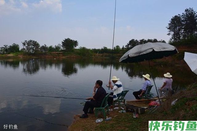 夏钓之鳊鱼的5个技巧(图1) 夏钓之鳊鱼的5个技巧(图1)