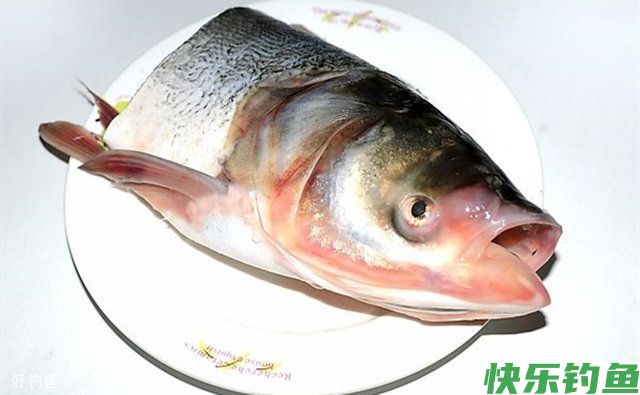 自制江河野钓鳊鱼的绝杀蝇蛆饵料配方(图2)
