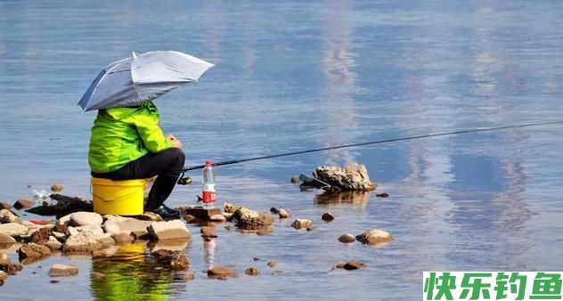 初夏钓鳊鱼的实用技巧，效果杠杠的！(图3)
