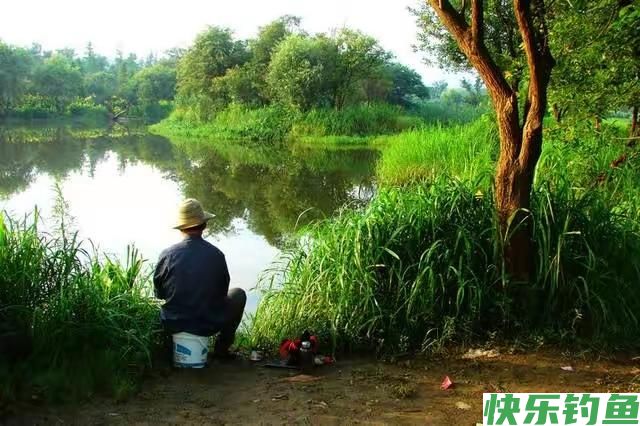 初夏钓鳊鱼的实用技巧，效果杠杠的！(图4)