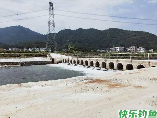春季野钓激流，鳊鱼胡子鲶大黄尾，钓法很重要