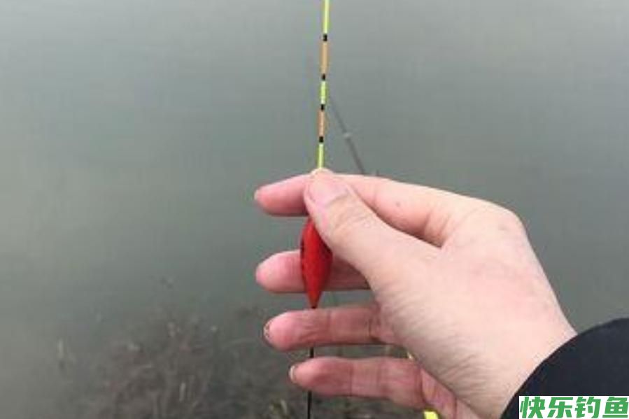 天气冷，鳊鱼反而更好钓？老司机再次提醒，这钓法果然不同凡响(图3)