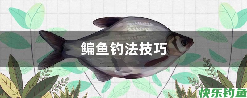 鳊鱼钓法技巧。。(图1)