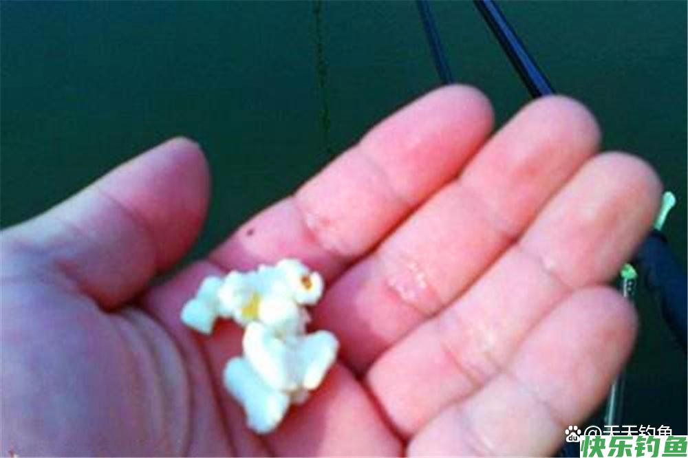 野钓鳊鱼，用这种“非常规”钓法，上鱼快人一步，妥妥的爆护(图4)