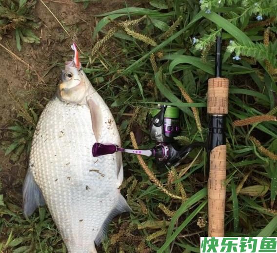 会钓鱼有多重要，贵阳突发疫情，小伙钓鱼回不了家，变荒野求生(图3)