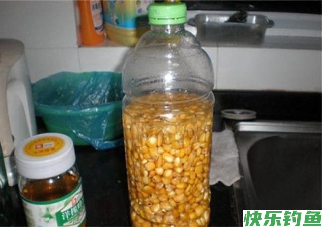 玉米饵用了20年，从未尝试过这种用法，鲫鱼鲤鱼草鱼鳊鱼都可以钓(图1)