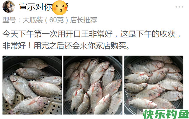 四旬老汉钓鱼实录之一一本来想钓鳊鱼，却连竿“大板鲤”(图10)