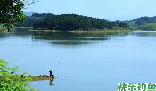 春季钓鳊鱼的5个秘诀，掌握了以后，钓鳊鱼非常简单(图2)