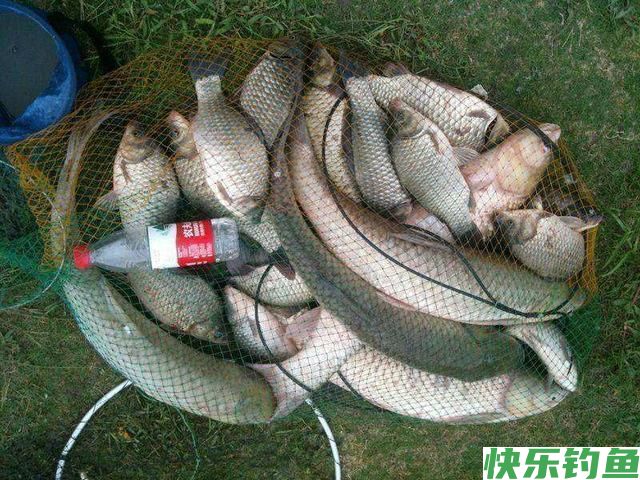春季钓鳊鱼的5个秘诀，掌握了以后，钓鳊鱼非常简单(图7)