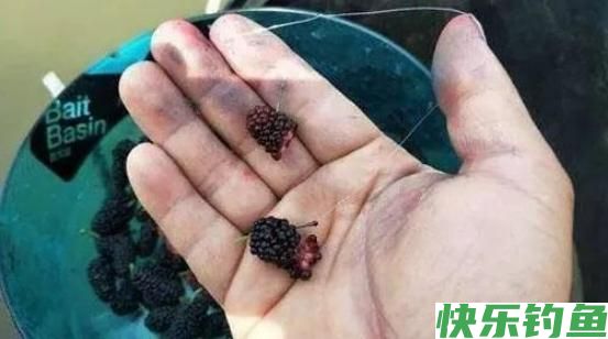 春季怎么钓鳊鱼？这2大“绝杀技巧”，有鳊鱼就能连竿！(图3)