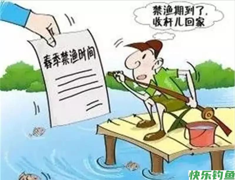疯狂的钓鱼人！湖北一河道鳊鱼大爆发，有人天没亮就去占位置了(图7)