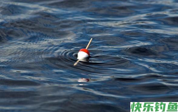 为什么春钓鳊鱼更易爆护？你却很难钓获？老钓手指出就怪你记性差(图6)