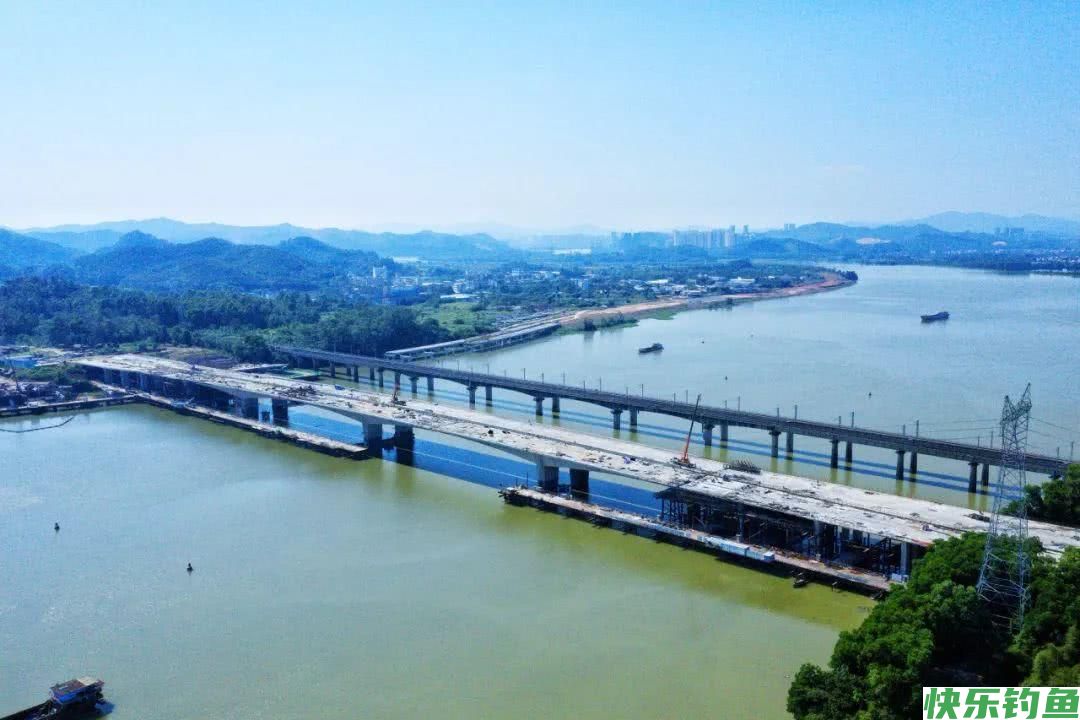 东江鳊鱼“狂口”半天钓起十几条，网友：路亚能钓到鳊鱼？(图1)