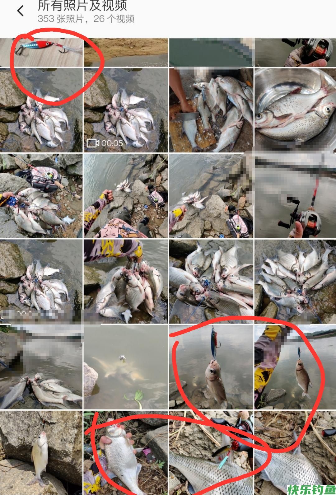 东江鳊鱼“狂口”半天钓起十几条，网友：路亚能钓到鳊鱼？(图9)