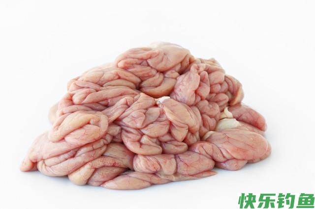 掌握这套江鳊绝杀技，一天不钓个上百斤你都不好意思(图5)