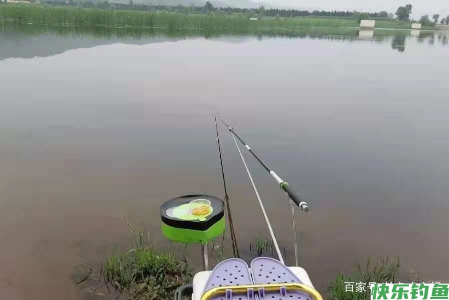 怪不得鳊鱼比鲫鱼好钓，换用这3招，一根竿子都钓不过来(图1)