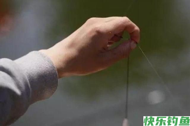 牢记3个钓鳊鱼的秘诀，学会后，想钓多少，钓多大，一句话的事！(图3)