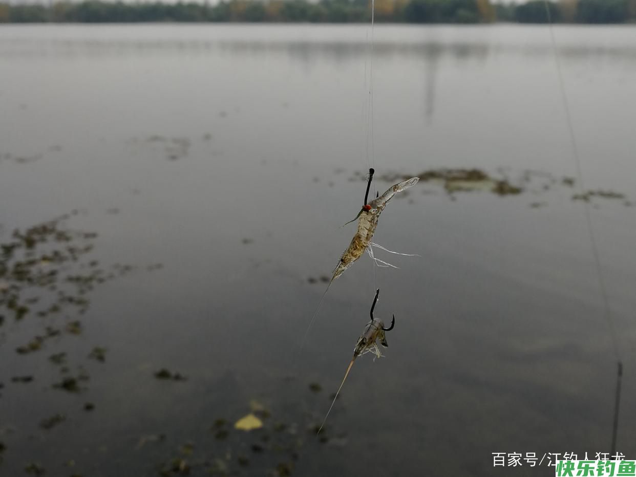 长江里钓鳊鱼，这6种都是常用饵，最后一种一般人接受不了(图2)